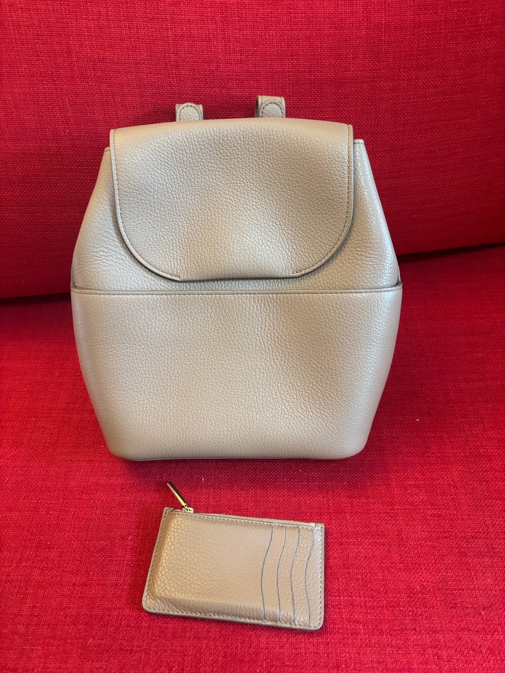 Cuyana Mini Leathet Backpack PLUS Wallet